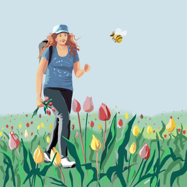 illustratie vrouw wandelt door een tulpenveld